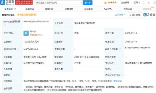 軟件開發(fā)與銷售 數(shù)字化時代的雙引擎驅(qū)動
